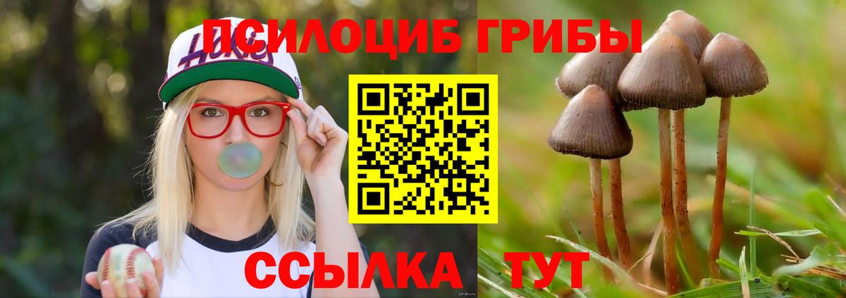 Галлюциногенные грибы ЛСД  Вход с VPN  Александров  Псилоцибиновые грибы Psilocybe 